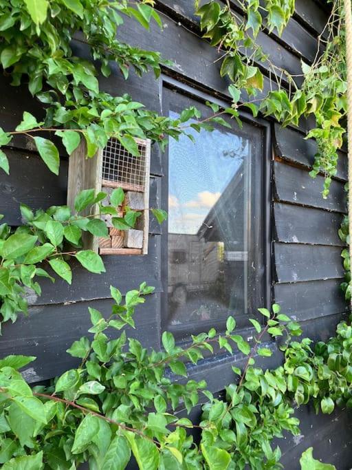 The Tiny Garage Apartment Кампен Екстериор снимка